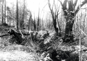 Українські повстанці зайняли позиції в лісі, щоб дати бій радянським військам, місце й рік – невідомі