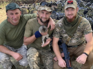Бойові коти та собаки: військові показали будні пухнастиків на фронті