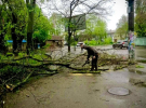 В Одесі через негоду впали дерева і великі гілки