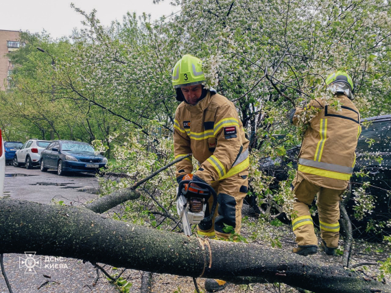 В Киеве из-за непогоды повалены деревья, подтоплены улицы и подъезды, повреждены десятки автомобилей