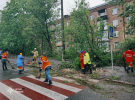 У Києві через негоду повалені дерева, підтоплені вулиці та підʼїзди, пошкоджені десятки автомобілів