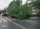 В Киеве из-за непогоды повалены деревья, подтоплены улицы и подъезды, повреждены десятки автомобилей