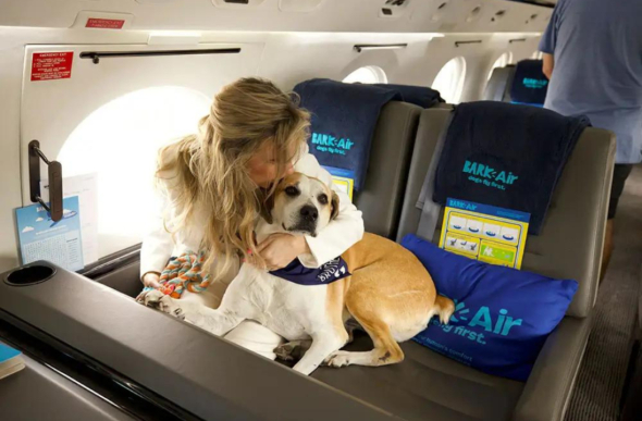 Для собак создали отдельную авиакомпанию
