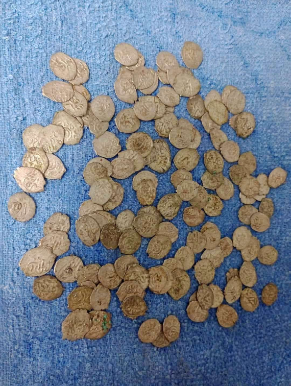 В Одесской области нашли серебряные монеты времен Крымского ханства