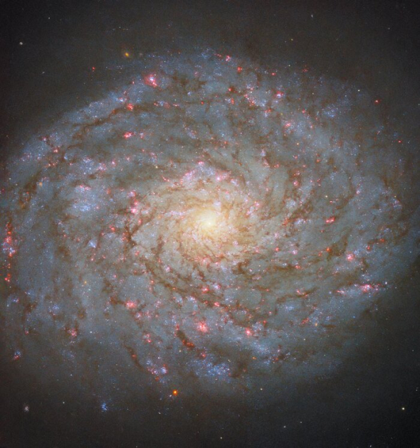 Космічний телескоп NASA/ESA Hubble сфотографував спіральну галактику NGC 4689