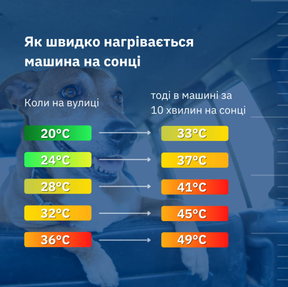 За температури повітря 37°С, авто може нагрітися до 49°С, кажуть зоозахисники