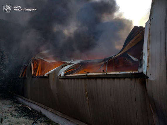 В Николаевской области тушили пожар