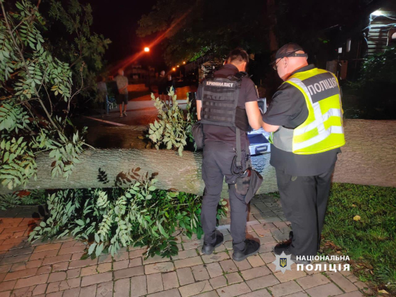 Вечером вторника, 30 июля, в результате падения дерева в парке имени Тараса Шевченко в Киеве погиб человек