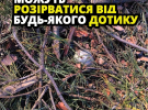 У ДСНС вчергове попередили про авіабомби схожі на невеликі мʼячики. Вони детонують при найменшому дотику 