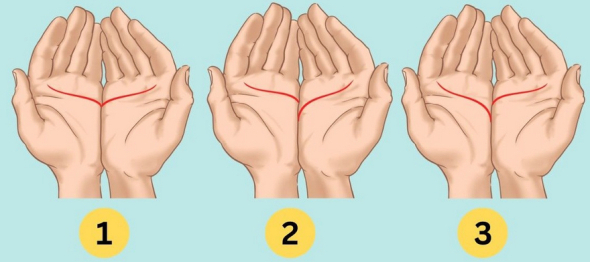 Личный тест: линия сердца раскрывает ваши скрытые черты характера