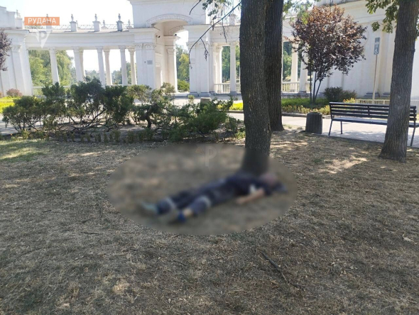 В Кривом Роге коммунальщика покусали шершни, мужчина умер