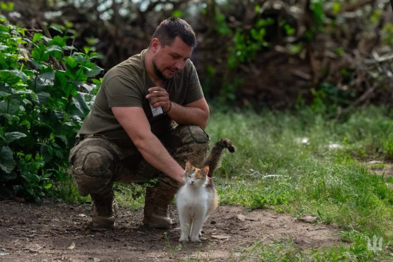 Коты и защитники: настоящая дружба, греющая сердца на войне