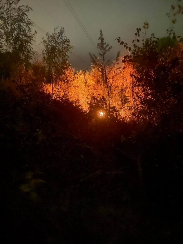 У Дарницькому районі Києва уламки збитих ворожих дронів призвели до загорання на відкритій території дерев та трави. Пожежу оперативно ліквідовано