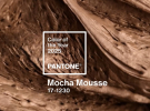 Mocha Mousse - головний колір 2025 року