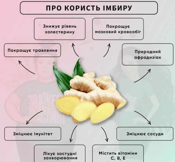 Польза имбиря для похудения: ответ диетолога