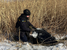 Уламки російських БПЛА виявили на Київському водосховищі та поблизу одного з озер столиці