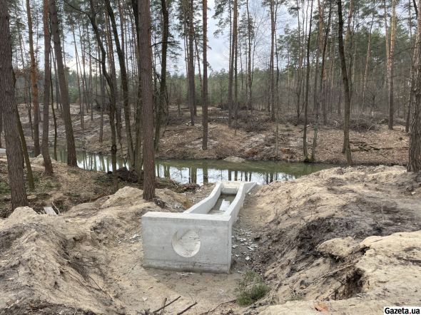 Свіжа лінія траншеї в сосновому лісі. Тут прокладають систему дренажу для майбутнього кладовища