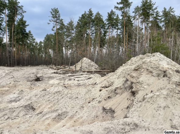 Після вирубки: місцева доріжка через лісову ділянку, де розпочали підготовчі роботи