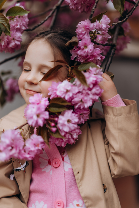 В Ужгороді - пік цвітіння сакур: дивіться атмосферні фото