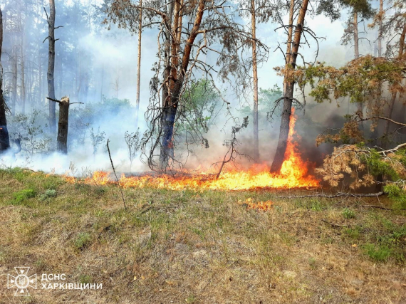 На Харківщині триває ліквідація масштабних лісових пожеж - ДСНС