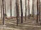 На Харківщині триває ліквідація масштабних лісових пожеж - ДСНС