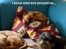 Ектор Хіменес-Браво показався у військовій формі і приїхав у Харківську область