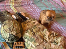 Эктор Хименес-Браво показался в военной форме и приехал в Харьковскую область