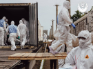 Україна повернула додому ще 1200 тіл полеглих захисників