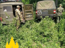 Партизаны разведали позиции 428-го МСП ВС РФ: ликвидированы штабные командиры