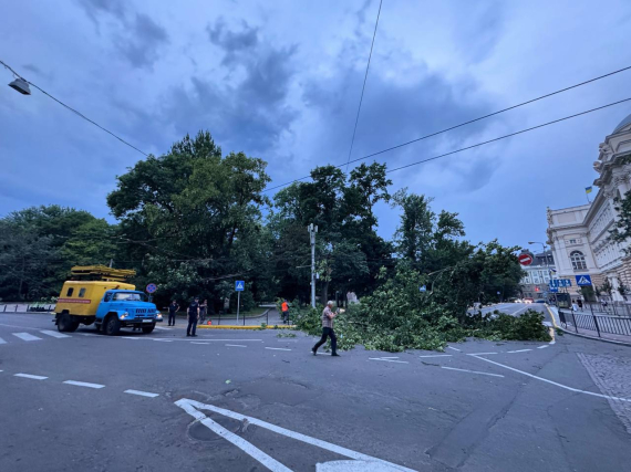 Наслідки бурі у Львові