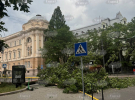 Наслідки бурі у Львові