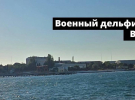 Севастополь под прицелом: "АТЕШ" изучил логистику врага в бухте Казачья