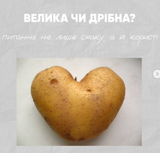 Большая или мелкая: какой картофель выбрать и почему нужно есть с кожурой