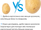 Большая или мелкая: какой картофель выбрать и почему нужно есть с кожурой