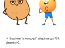 Большая или мелкая: какой картофель выбрать и почему нужно есть с кожурой