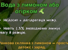 От вялости к бодрости: продукты, которые "включают" мозг после бессонницы