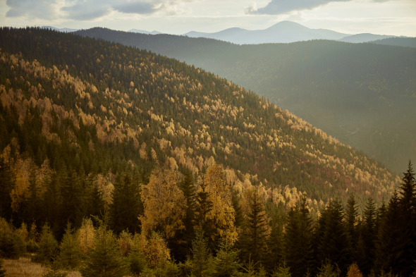 Осінній похід