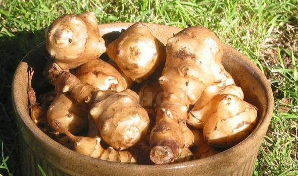 Фрукти та овочі, які слід додати до раціону у листопаді: найкращі поєднання