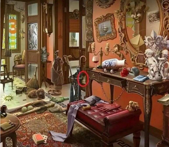 Головоломка: чи зможете помітити кота, захованого в цій захаращеній кімнаті