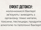 Квашена капуста: суперфуд, який є найпотужнішим детоксом 