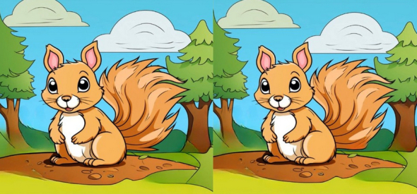 Знайдіть три відмінності на цьому зображенні білки всього за 23 секунди