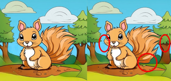 Знайдіть три відмінності на цьому зображенні білки всього за 23 секунди: відповідь