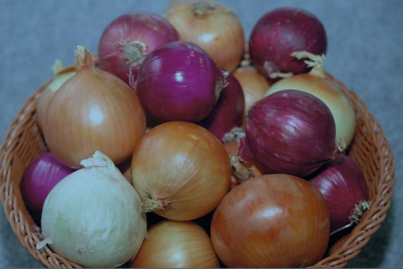 Між жовтою, червоною та білою цибулею є різниця: в чому їхня користь