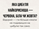 Між жовтою, червоною та білою цибулею є різниця: в чому їхня користь