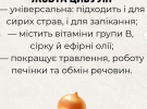 Між жовтою, червоною та білою цибулею є різниця: в чому їхня користь