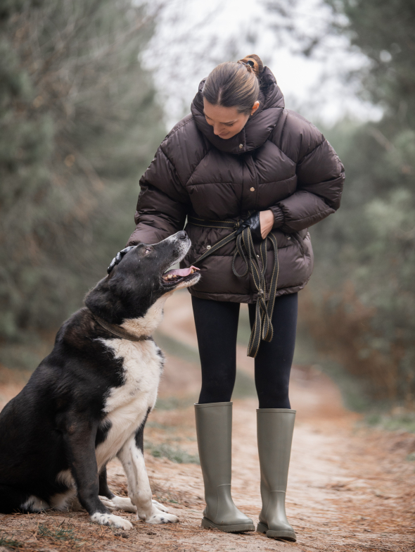 Волонтеры приходят выгулять собак