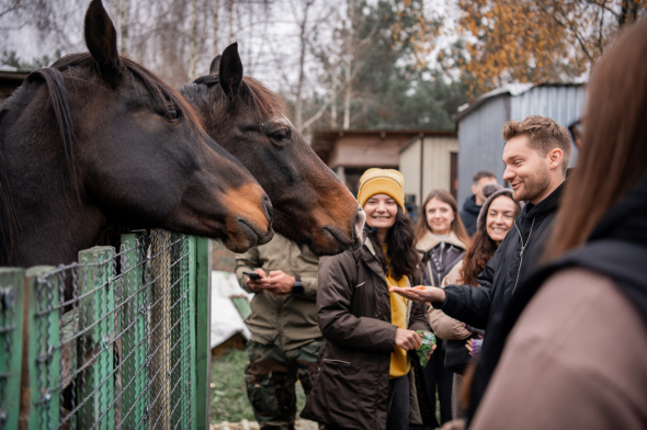 В приюте "Best Friends" также проживают две лошади