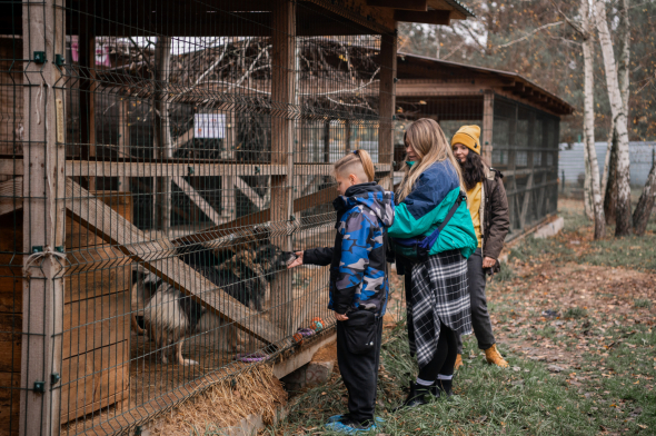 В приюте "Best Friends" проживает 746 собак, 397 кошек, по две лошади и лисы