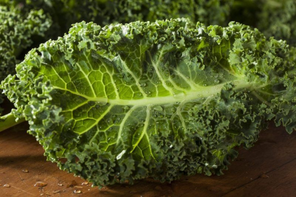 Капуста кале