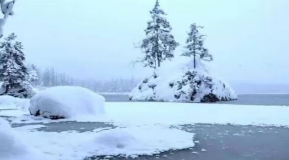 Є 21 с на розгадку: знайдіть білого ведмедя, якщо маєте гарний зір